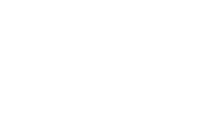 KiokShuys